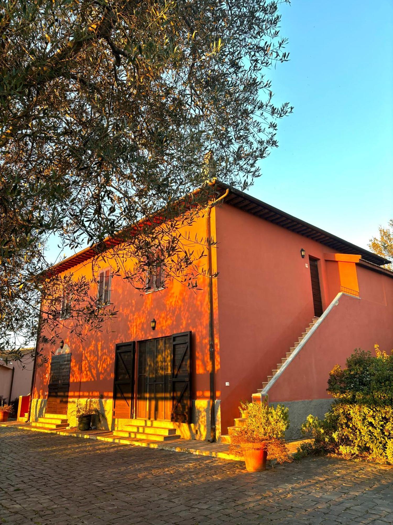 Tenuta Saracone Montalto di Castro Exterior foto